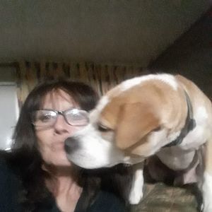 Meet your Posher, Donna